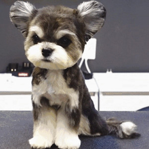 国产精品一线天在线观看
